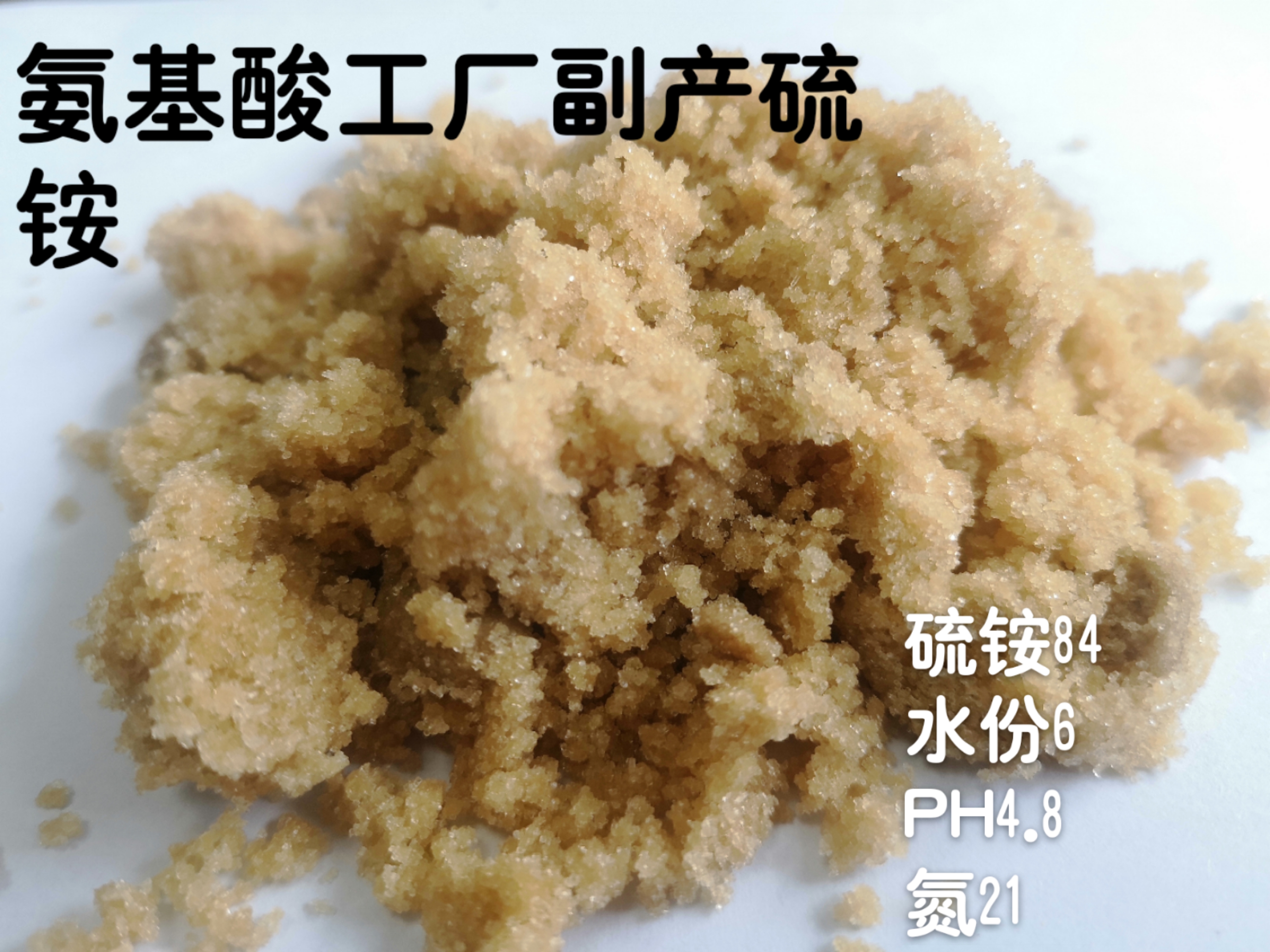 氨基酸工厂副产硫酸铵